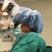 Performing surgery at Duke University 